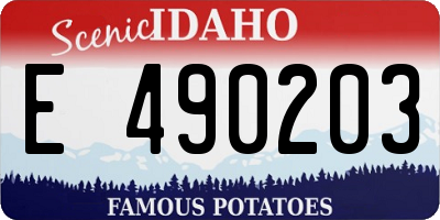 ID license plate E490203