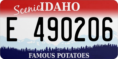 ID license plate E490206