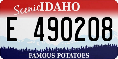 ID license plate E490208