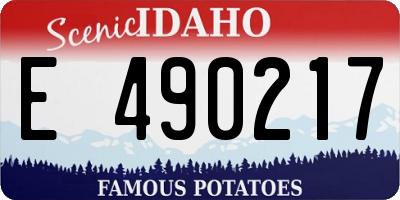 ID license plate E490217