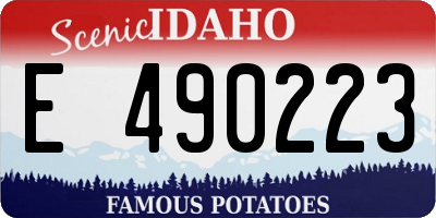 ID license plate E490223