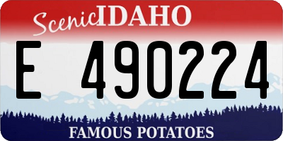 ID license plate E490224