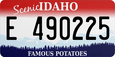 ID license plate E490225
