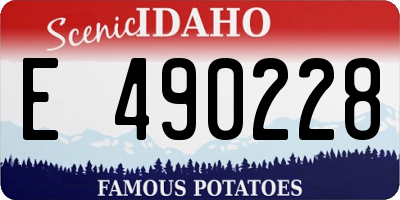 ID license plate E490228