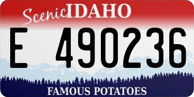 ID license plate E490236