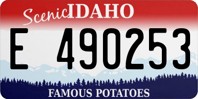 ID license plate E490253