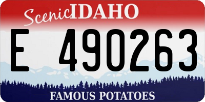 ID license plate E490263