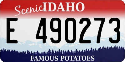 ID license plate E490273