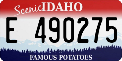 ID license plate E490275