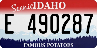 ID license plate E490287