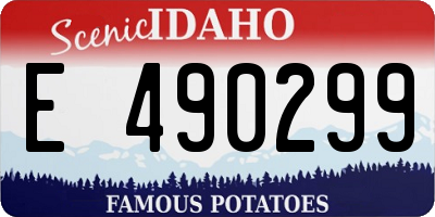 ID license plate E490299