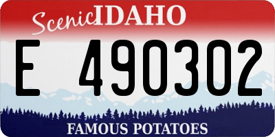 ID license plate E490302