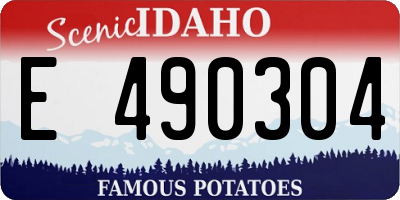 ID license plate E490304