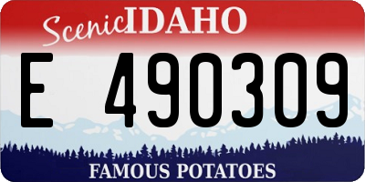 ID license plate E490309