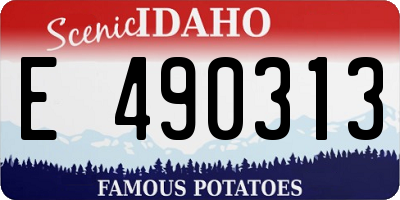 ID license plate E490313