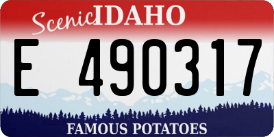 ID license plate E490317