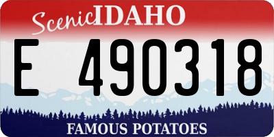 ID license plate E490318