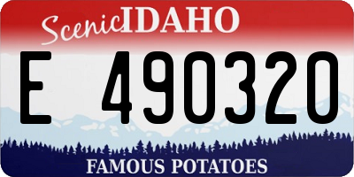 ID license plate E490320