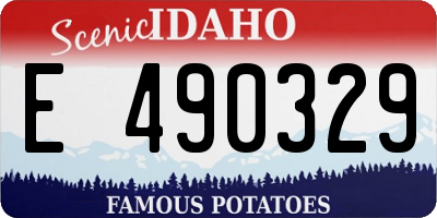 ID license plate E490329