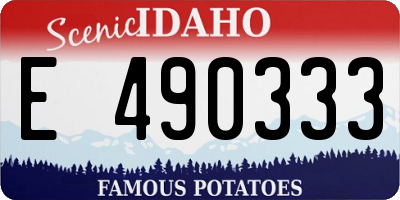 ID license plate E490333