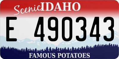 ID license plate E490343