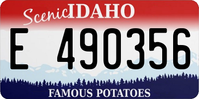 ID license plate E490356