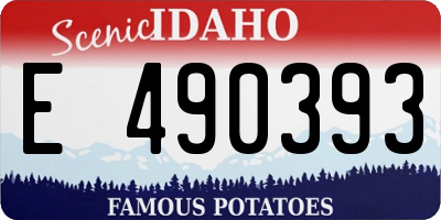 ID license plate E490393