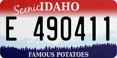 ID license plate E490411