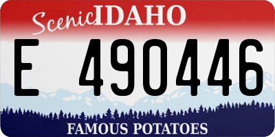ID license plate E490446