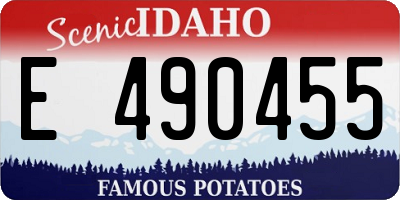 ID license plate E490455