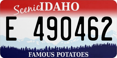 ID license plate E490462