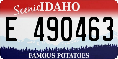 ID license plate E490463