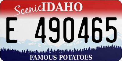 ID license plate E490465