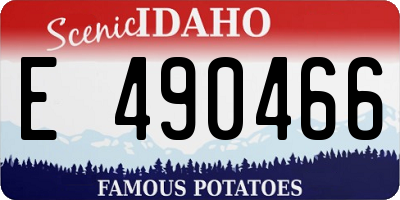 ID license plate E490466