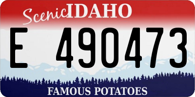 ID license plate E490473