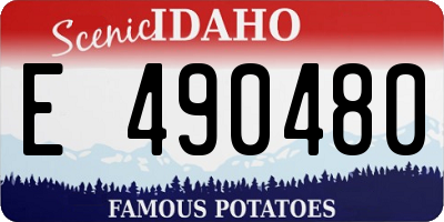 ID license plate E490480