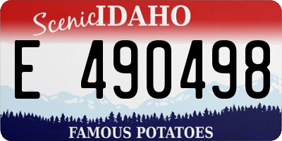 ID license plate E490498