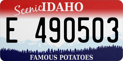 ID license plate E490503