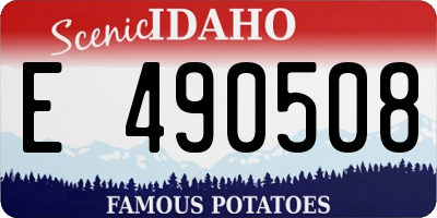 ID license plate E490508
