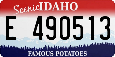 ID license plate E490513