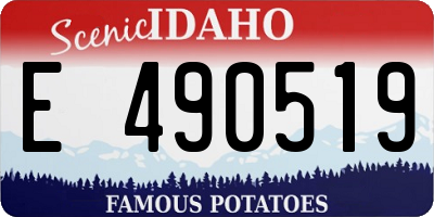 ID license plate E490519