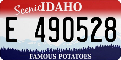 ID license plate E490528