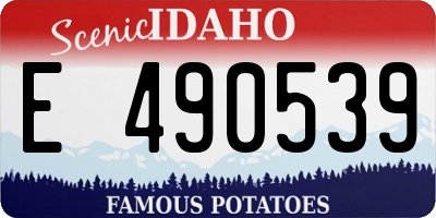 ID license plate E490539