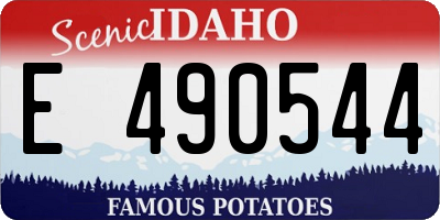 ID license plate E490544