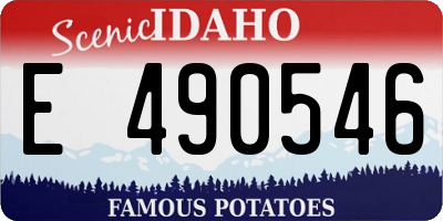 ID license plate E490546
