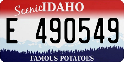 ID license plate E490549