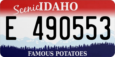ID license plate E490553