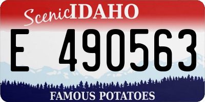 ID license plate E490563