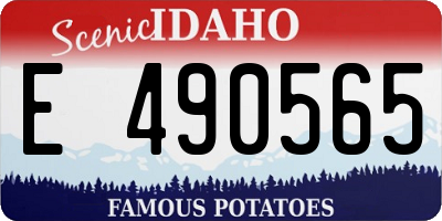 ID license plate E490565