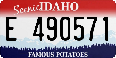 ID license plate E490571